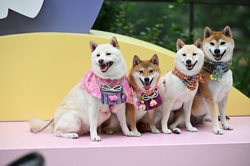 新界區寵物友善商場2025-形點YOHO Mall